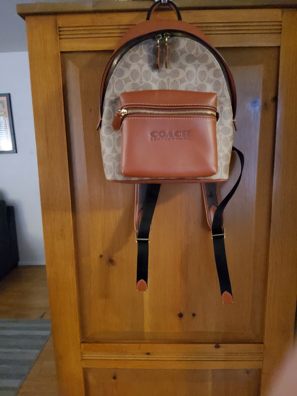 Coach Charter Backpack C8847 Beyond EUC - Picture 14 of 16